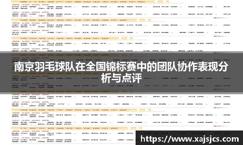 南京羽毛球队在全国锦标赛中的团队协作表现分析与点评
